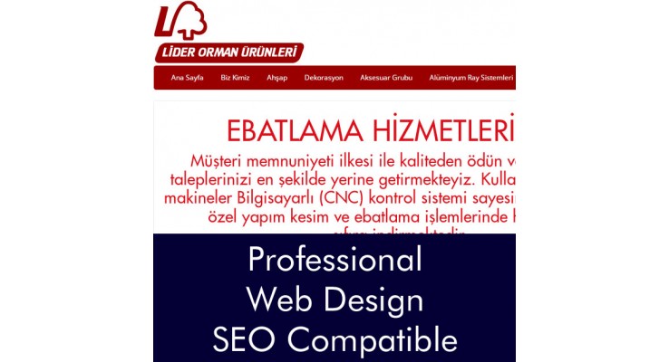 liderormanurunleri.com